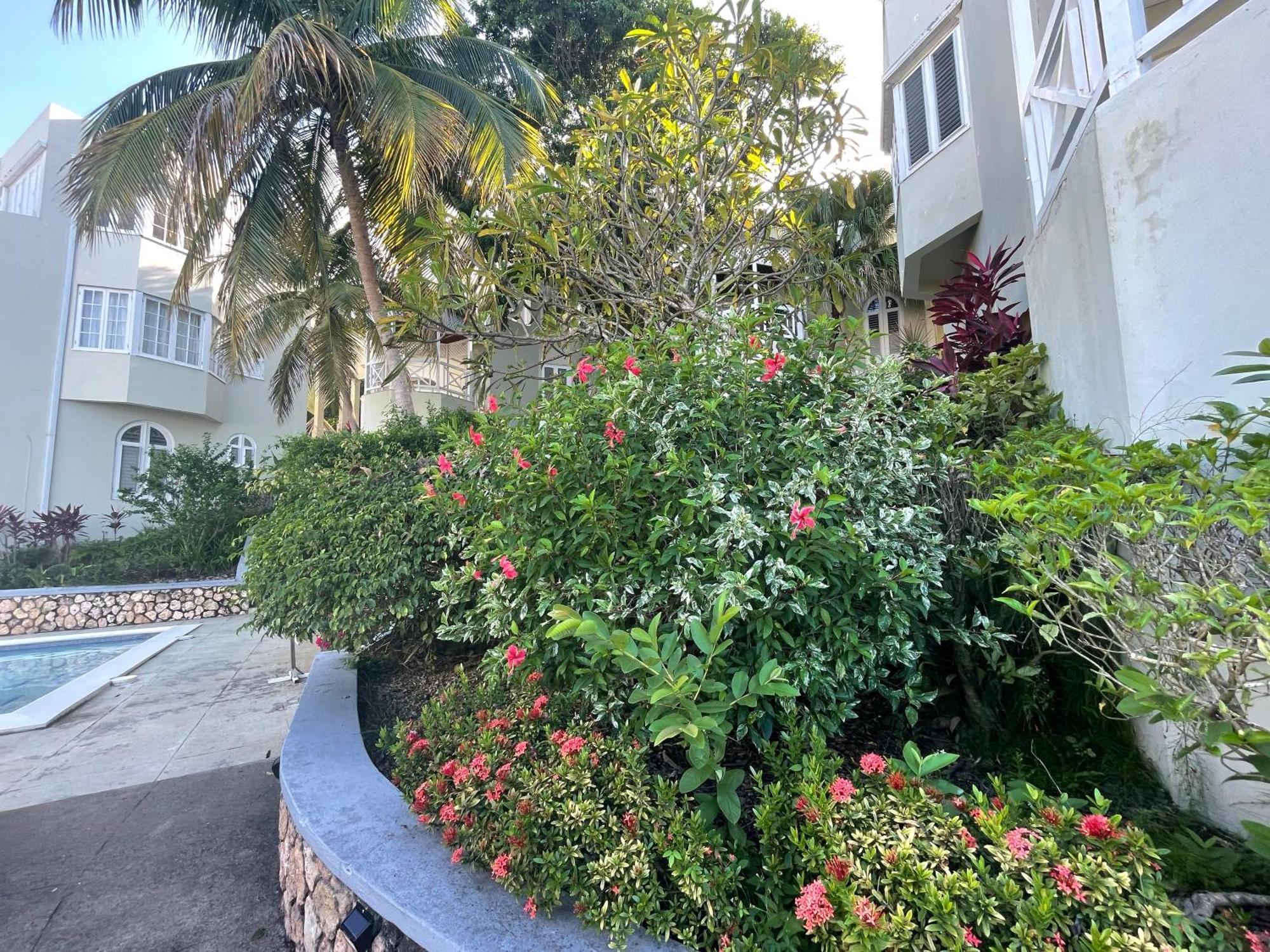 Oceanbreeze Jamaica Penthouse, 7-Minute Walk To Beach Ότσο Ρίος Εξωτερικό φωτογραφία